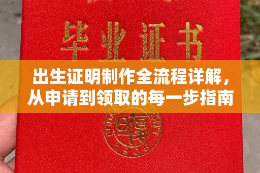 化隆出生证明制作全流程详解，从申请到领取的每一步指南
