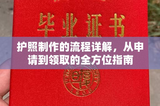 化隆护照制作的流程详解，从申请到领取的全方位指南
