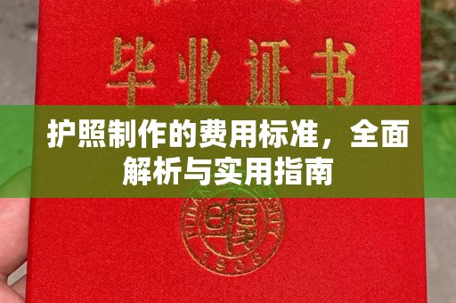 化隆护照制作的费用标准，全面解析与实用指南